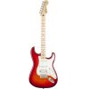 fender-standard-stratocaster®-hss-plus-top-acs-1-1.jpg