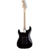 standard-stratocaster-hss-with-floyd-rose-black-2-jpeg.jpg