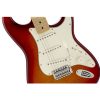 standard-stratocaster®-plus-top-maple-fingerboard-aged-cherry-burst-2.jpg