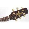 takamine-p5dc-2-jpeg.jpg