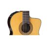 takamine-tc132sc-3-jpeg.jpg