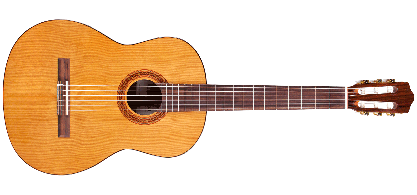 Đàn guitar Cordoba C5