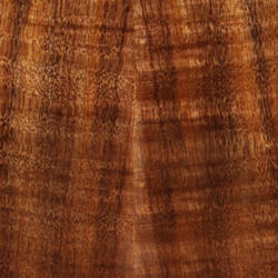 Guitar Taylor GS Mini-e Koa Top Wood